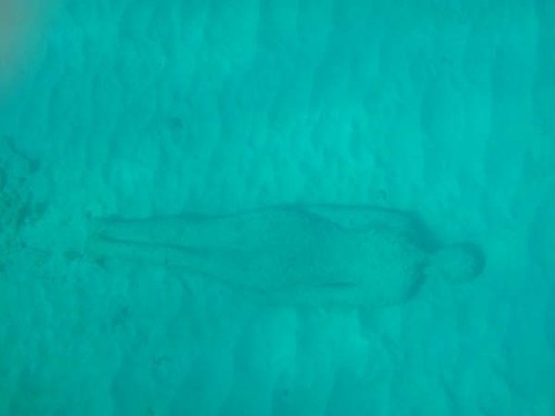 Sculpture under the sea. © Ian & Andrea Treleaven